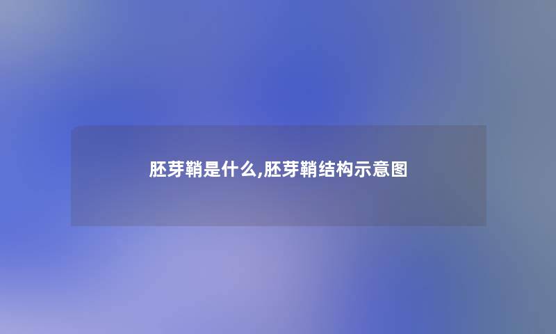 胚芽鞘是什么,胚芽鞘结构示意图