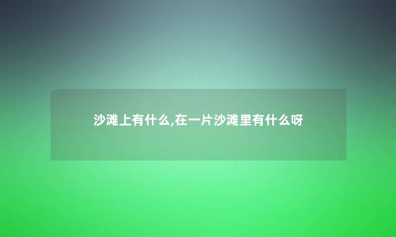 沙滩上有什么,在一片沙滩里有什么呀