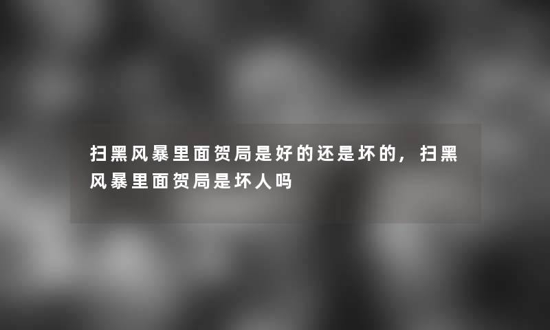 扫黑风暴里面贺局是好的还是坏的,扫黑风暴里面贺局是坏人吗