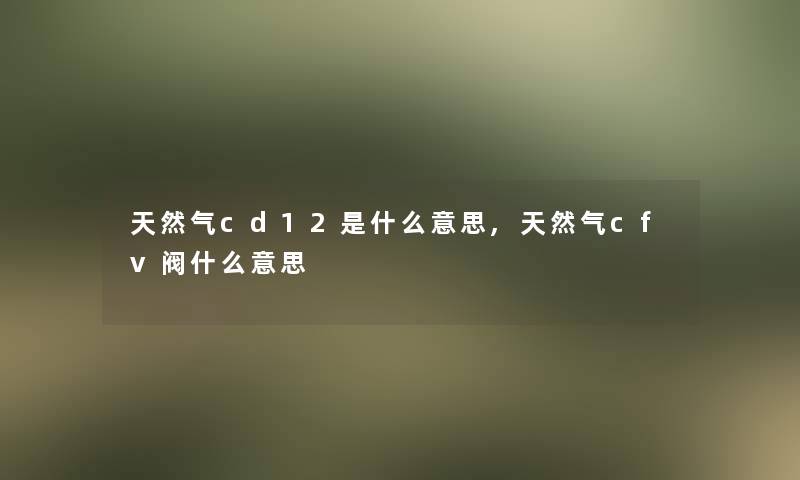 天然气cd12是什么意思,天然气cfv阀什么意思