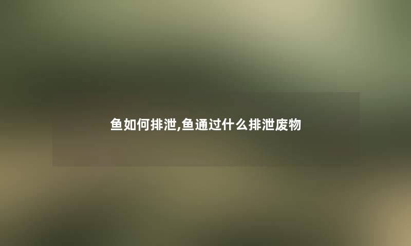 鱼如何排泄,鱼什么排泄废物