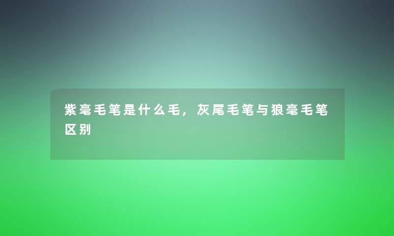 紫毫毛笔是什么毛,灰尾毛笔与狼毫毛笔区别