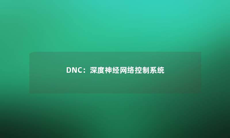 DNC：深度神经网络控制系统