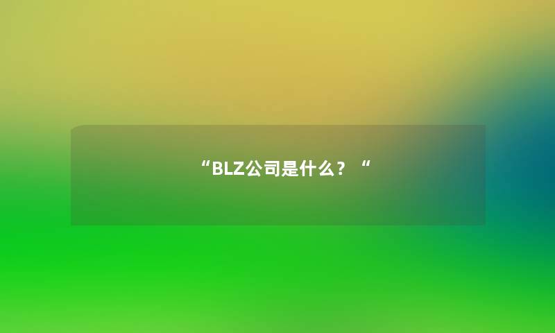 “BLZ公司是什么？“