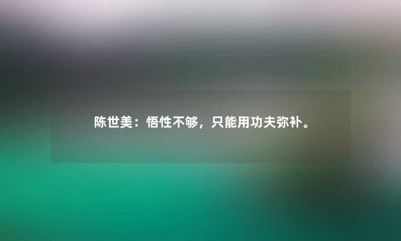 陈世美：悟性不够，只能用功夫弥补。