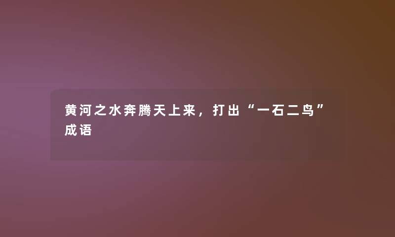 黄河之水奔腾天上来，打出“一石二鸟”成语