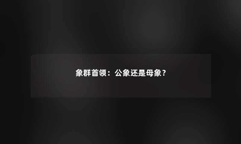 象群首领：公象还是母象？