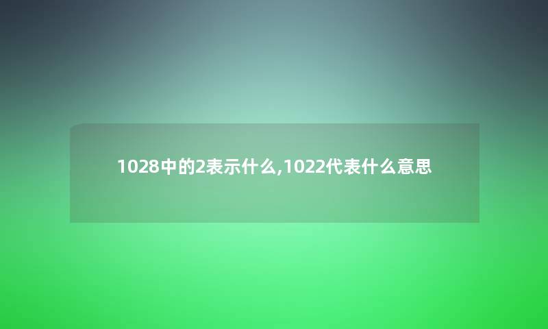 1028中的2表示什么,1022代表什么意思