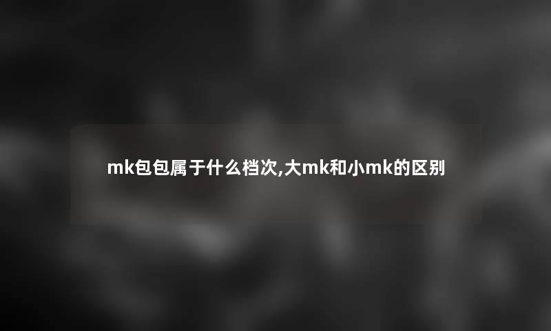 mk包包属于什么档次,大mk和小mk的区别