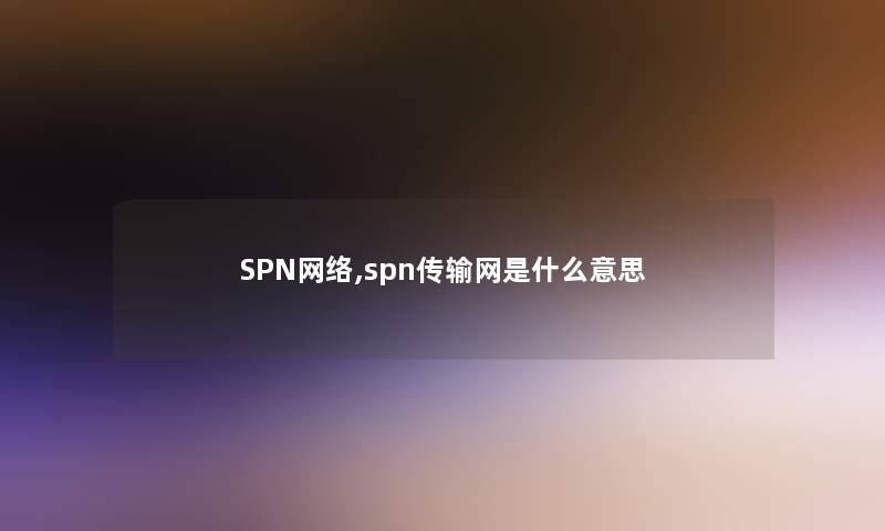 SPN网络,spn传输网是什么意思