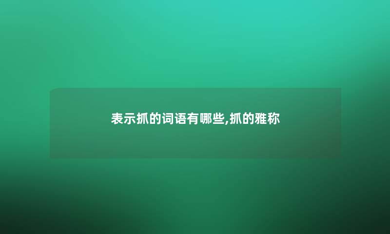 表示抓的词语有哪些,抓的雅称