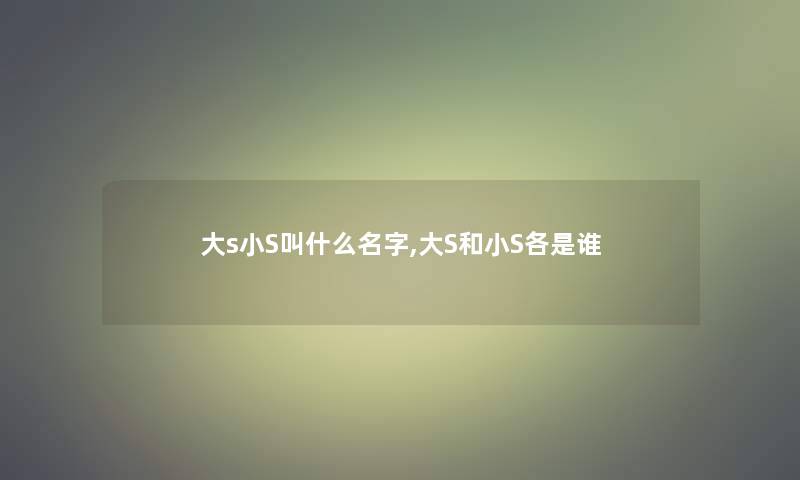 大s小S叫什么名字,大S和小S各是谁