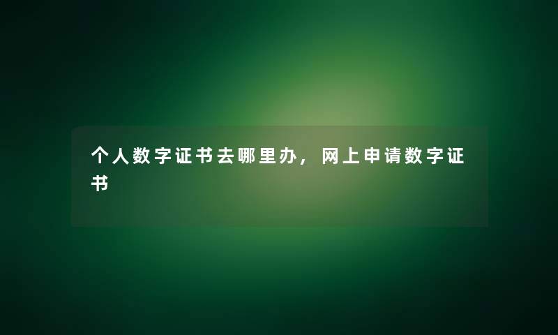 个人数字证书去哪里办,网上申请数字证书