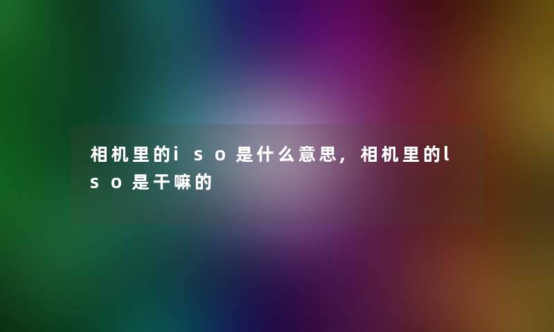 相机里的iso是什么意思,相机里的lso是干嘛的