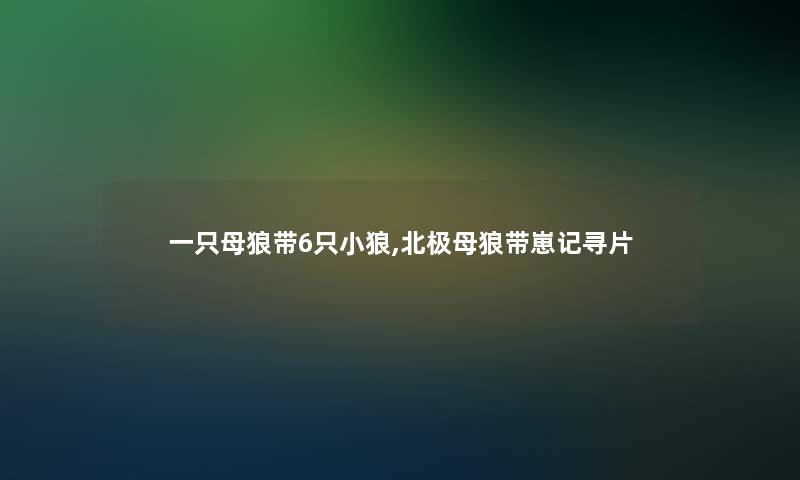 一只母狼带6只小狼,北极母狼带崽记寻片