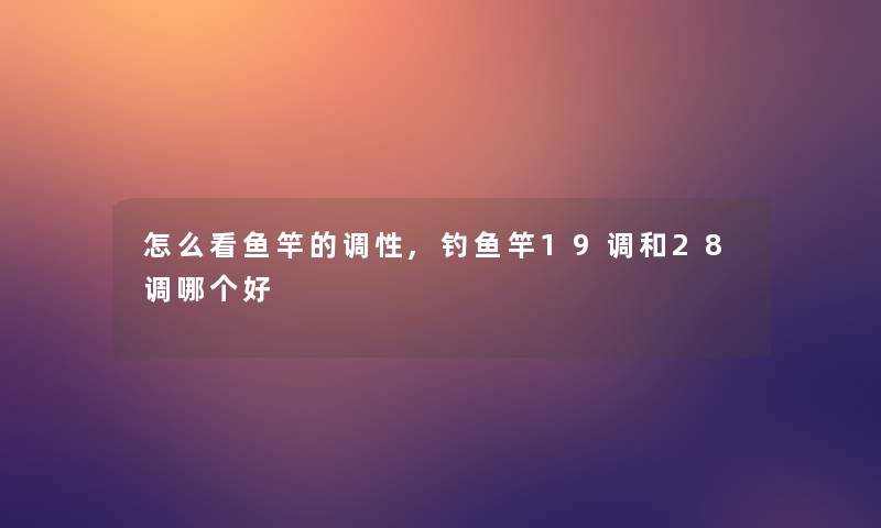 怎么看鱼竿的调性,钓鱼竿19调和28调哪个好