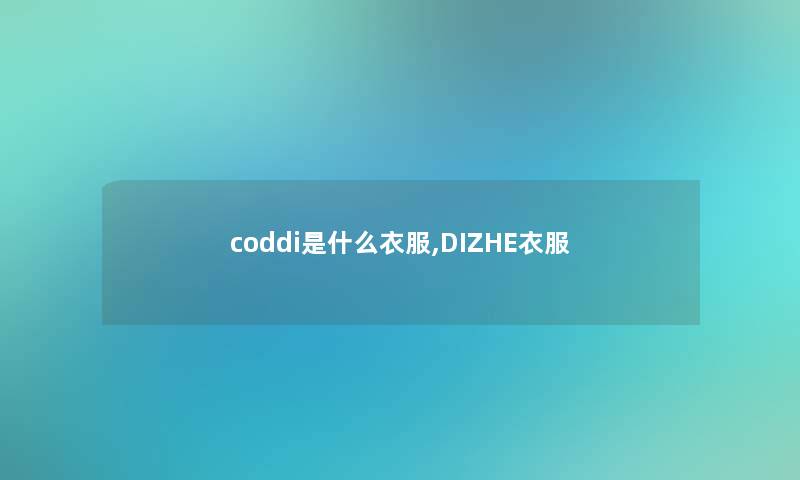 coddi是什么衣服,DIZHE衣服