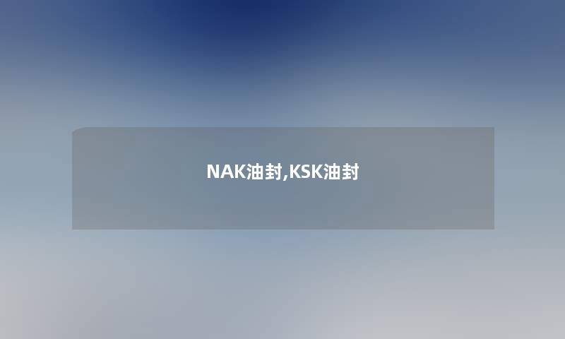 NAK油封,KSK油封