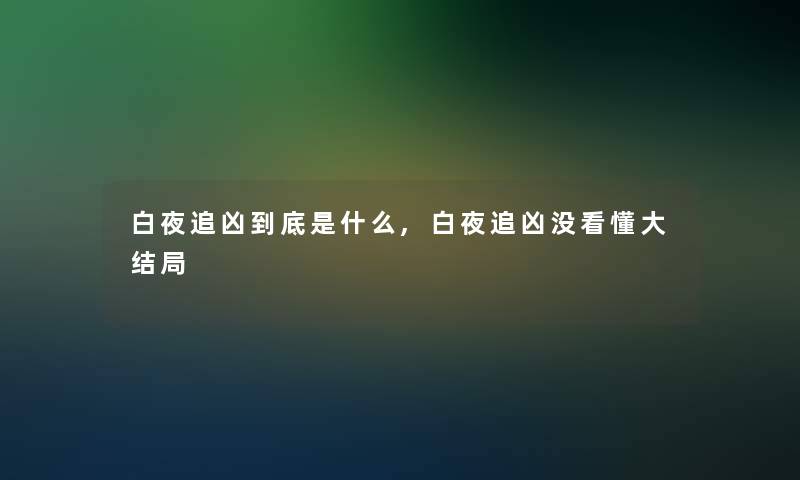 白夜追凶到底是什么,白夜追凶没看懂大结局