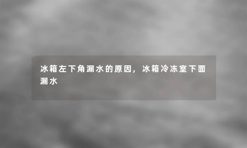 冰箱左下角漏水的原因,冰箱冷冻室下面漏水