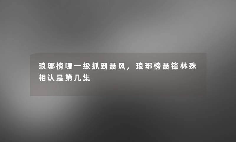 琅琊榜哪一级抓到聂风,琅琊榜聂锋林殊相认是第几集