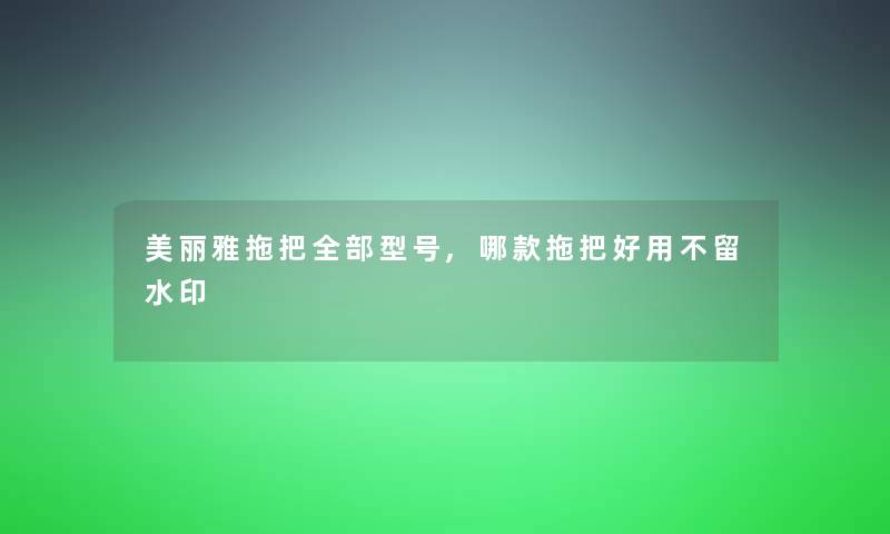 美丽雅拖把整理的型号,哪款拖把好用不留水印