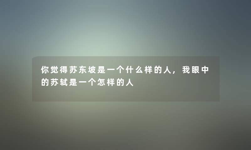 你觉得苏东坡是一个什么样的人,我眼中的苏轼是一个怎样的人