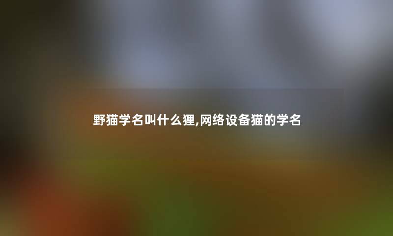 野猫学名叫什么狸,网络设备猫的学名