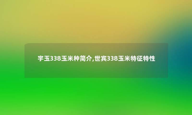 宇玉338玉米种简介,世宾338玉米特征特性