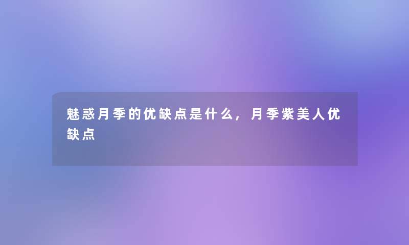 魅惑月季的优缺点是什么,月季紫美人优缺点