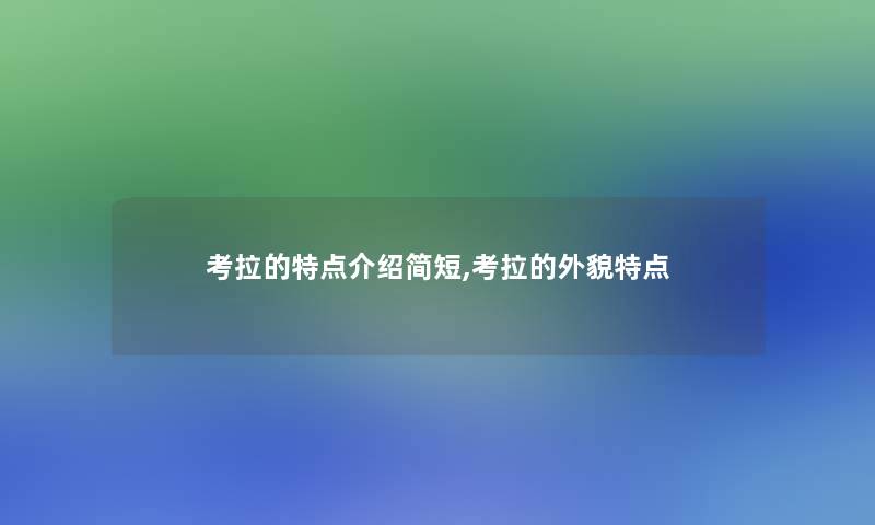 考拉的特点介绍简短,考拉的外貌特点