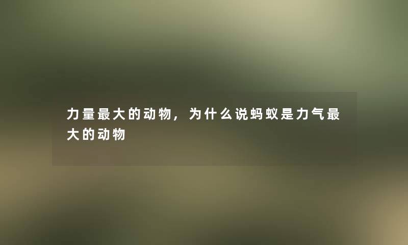 力量大的动物,为什么说蚂蚁是力气大的动物