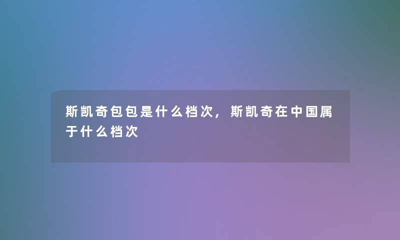 斯凯奇包包是什么档次,斯凯奇在中国属于什么档次