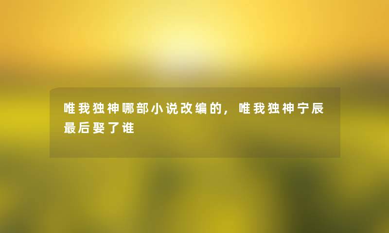 唯我独神哪部小说改编的,唯我独神宁辰这里要说娶了谁