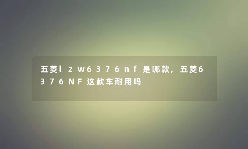 五菱lzw6376nf是哪款,五菱6376NF这款车耐用吗