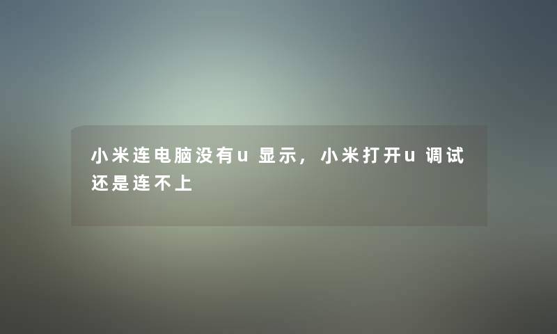 小米连电脑没有u显示,小米打开u调试还是连不上