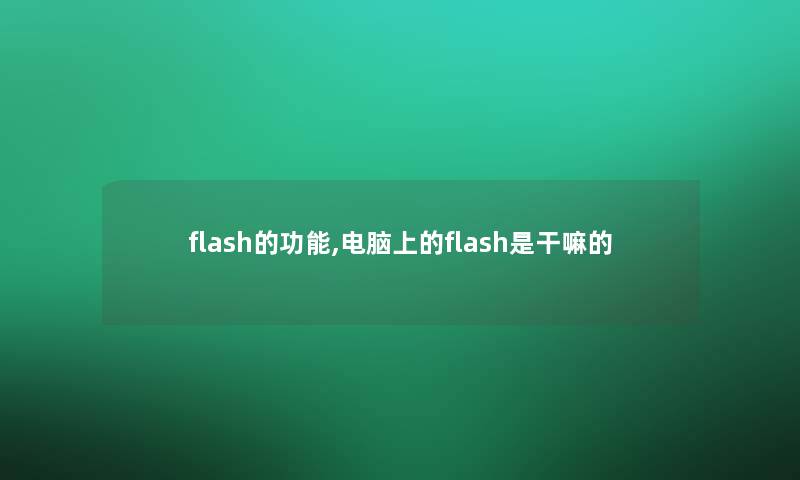 flash的功能,电脑上的flash是干嘛的