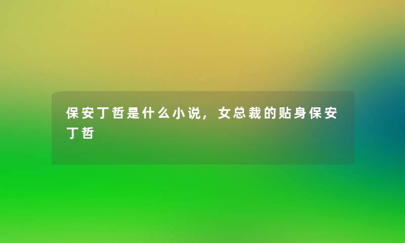 保安丁哲是什么小说,女总裁的贴身保安丁哲