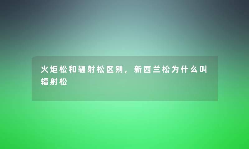 火炬松和辐射松区别,新西兰松为什么叫辐射松