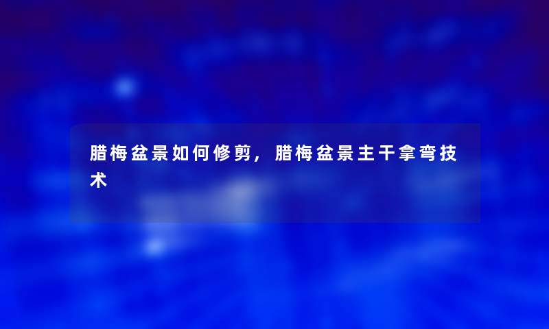 腊梅盆景如何修剪,腊梅盆景主干拿弯技术