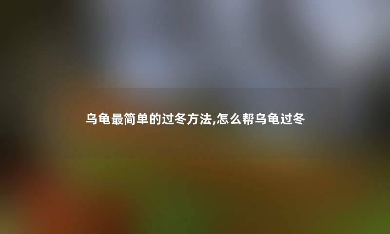 乌龟简单的过冬方法,怎么帮乌龟过冬