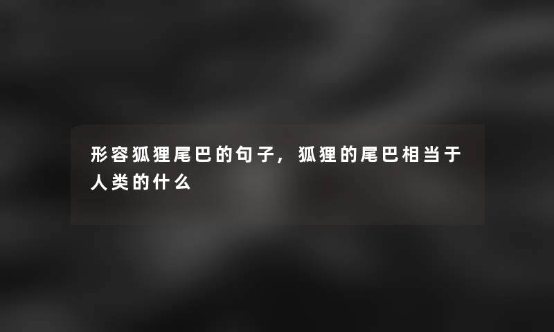 形容狐狸尾巴的句子,狐狸的尾巴相当于人类的什么