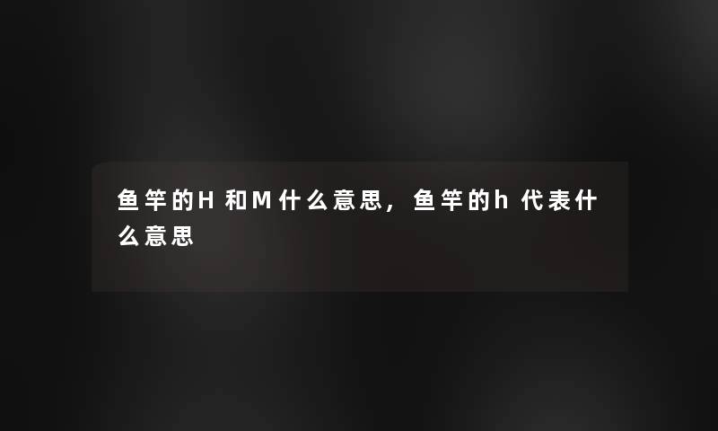 鱼竿的H和M什么意思,鱼竿的h代表什么意思