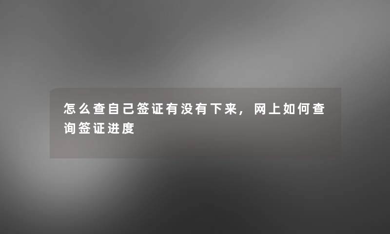 怎么查自己签证有没有下来,网上如何查阅签证进度