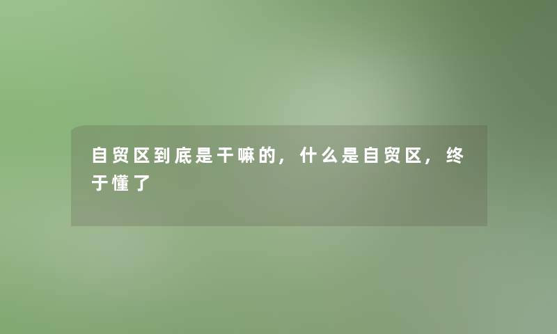 自贸区到底是干嘛的,什么是自贸区,终于懂了