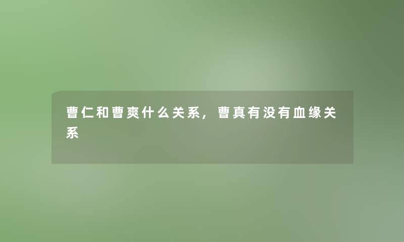 曹仁和曹爽什么关系,曹真有没有血缘关系