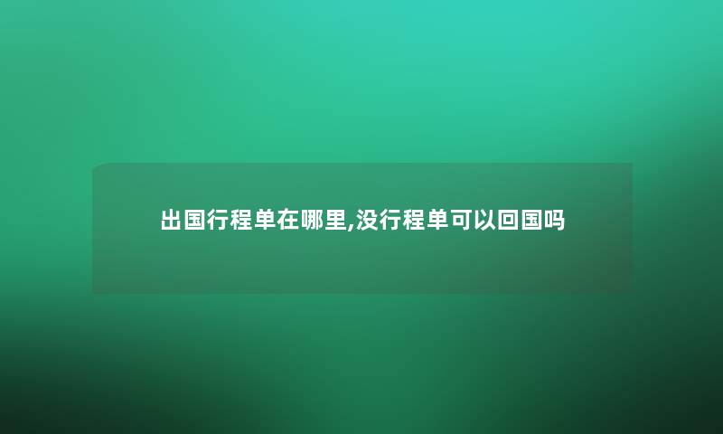 出国行程单在哪里,没行程单可以回国吗