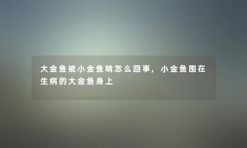 大金鱼被小金鱼啃怎么回事,小金鱼围在生病的大金鱼身上