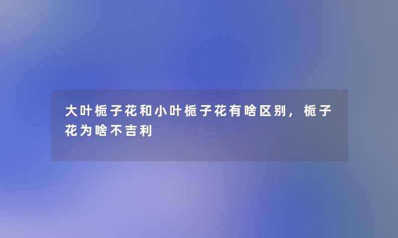 大叶栀子花和小叶栀子花有啥区别,栀子花为啥不吉利