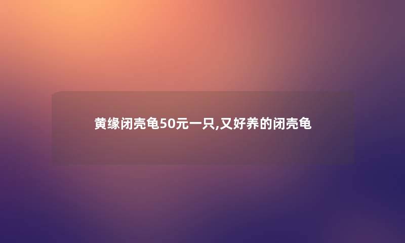 黄缘闭壳龟50元一只,又好养的闭壳龟